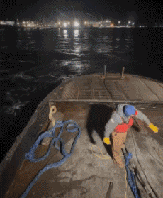 Humor -  Fun MENSCHEN Auf Arbeit Idiot Fail Serie 04 