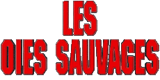 Multi Média Cinéma International Les Oies Sauvages Logo Français 