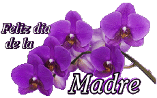 Nachrichten Spanisch Feliz día de la madre 05 
