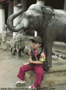 Humor -  Fun Tiere Elefanten 01 