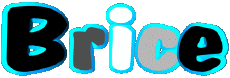 Nombre MASCULINO - Francia B Brice 