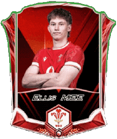 Sports Rugby - Joueurs Pays de Galles Equipe 2025 Ellis MEE 