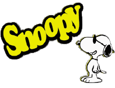 Multi Media Comic Strip - USA Snoopy 