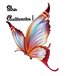 Messages Français Bon Anniversaire Papillons 008 