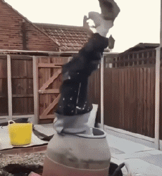 Humor -  Fun PEOPLE At work Fun - Win 02 