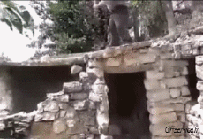 Humor - Fun GENTE En el trabajo Fail 