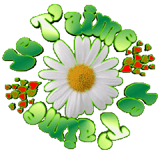 Messagi Francese Je T'aime 05 