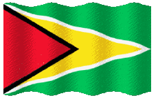 Fahnen Amerika Guyana Welligkeit 
