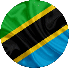 Flags Africa Tanzania Rond 