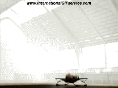 Humour - Fun Animaux Eléphants 01 