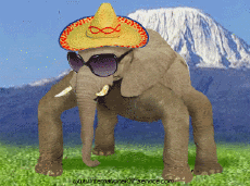 Humor -  Fun Animals Elephants 01 