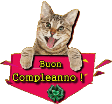 Messages Italien Buon Compleanno Animali 002 