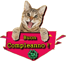 Messagi Italiano Buon Compleanno Animali 002 