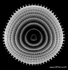 Humor - Fun Efectos 3d Illusions Optiques Géométriques 