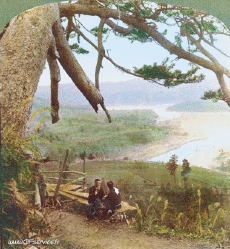 Humor -  Fun 3d Effekte Stéreoscopique Wiggle 