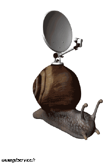 Humor -  Fun Animals Snails 01 