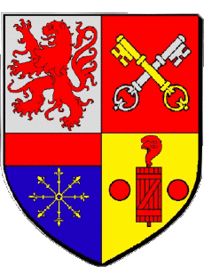 Flags France Departments - Cities 42 RIORGES 