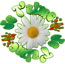 Messagi Francese Je T'aime 05 