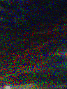 Humor -  Fun GIF Artists Bill Tavis 