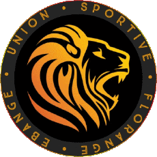 Deportes Fútbol Clubes Francia Grand Est 57 - Moselle US Florange Ebange 