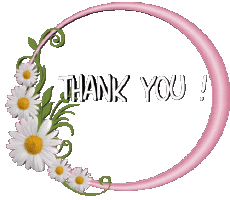 Messagi Inglese Thank You 008 