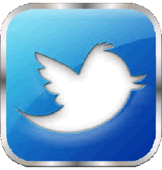 Multimedia Computadora - Internet Twitter 