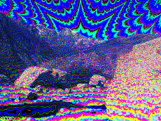 Humor -  Fun GIF Artists Bill Tavis 