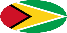 Drapeaux Amériques Guyana Ovale 