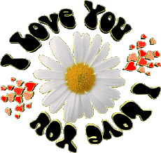 Mensajes Inglés I Love You 04 