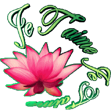 Messagi Francese Je T'aime 04 