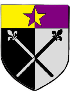 Drapeaux France Départements - Villes 974 SAINT ANDRE 