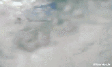 Humour - Fun Sports Surf Fun - Win 