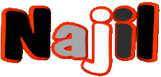 Prénoms MASCULIN - Maghreb Musulman N Najil 