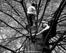 Humor - Fun Efectos 3d Stéreoscopique Wiggle 