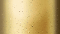 Mensajes Francés Bonne Année 2026 Video 