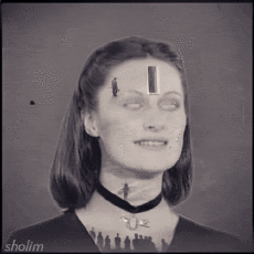 Humor -  Fun GIF Künstler Sholim 