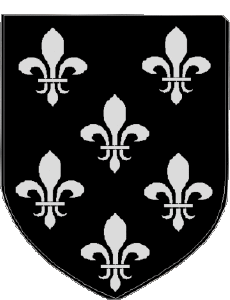 Banderas Francia Departamentos - Ciudades 08 VILLERS SEMEUSE 