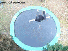 Umorismo -  Fun Sportivo Trampolino Al di fuori Fail 