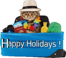 Mensajes Inglés Happy Holidays Fondo transparente 12 