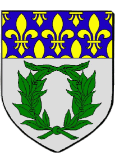 Blasón-Banderas Francia Departamentos - Ciudades 51 REIMS 