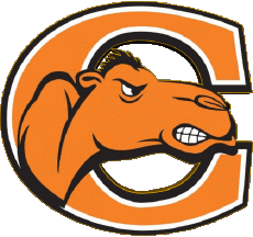Sport N C A A - D1 (National Collegiate Athletic Association) C Campbell Fighting Camels 