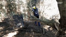 Humour - Fun PERSONNAGES Bucheron - Timber ! Fail 