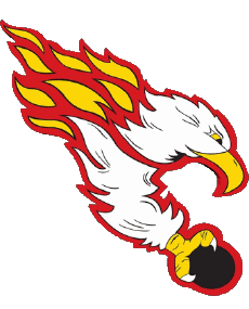 Sport Eishockey Finnland Kiekko-Laser 