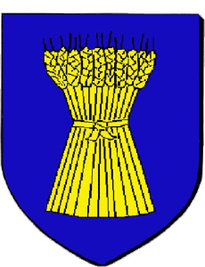 Bandiere Francia Dipartimenti - Città 85 CHANTONNAY 