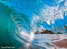 Humour - Fun Lieux - Nature Mer 