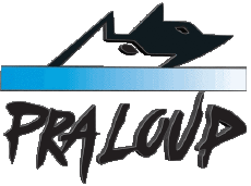 Sport Skigebiete Frankreich Südalpen Pra Loup 