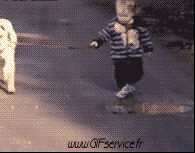 Humor -  Fun Animals Dogs 02 