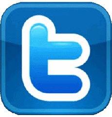 Multimedia Computer - Internet Twitter 