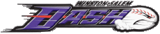 Sports Baseball U.S.A - Carolina League Winston-Salem Dash 