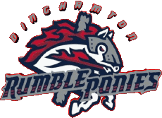 Deportes Béisbol U.S.A - Eastern League Binghamton Rumble Ponies 